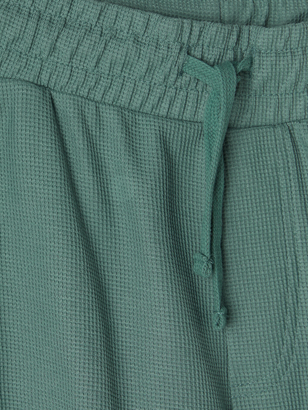 Yeşil Regular Fit Erkek Şort-1