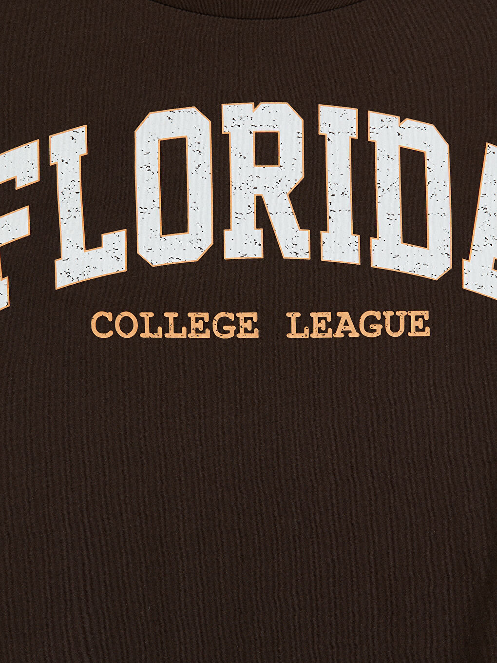 Kahverengi Kayık Yaka Baskılı Kadın Tişört-2