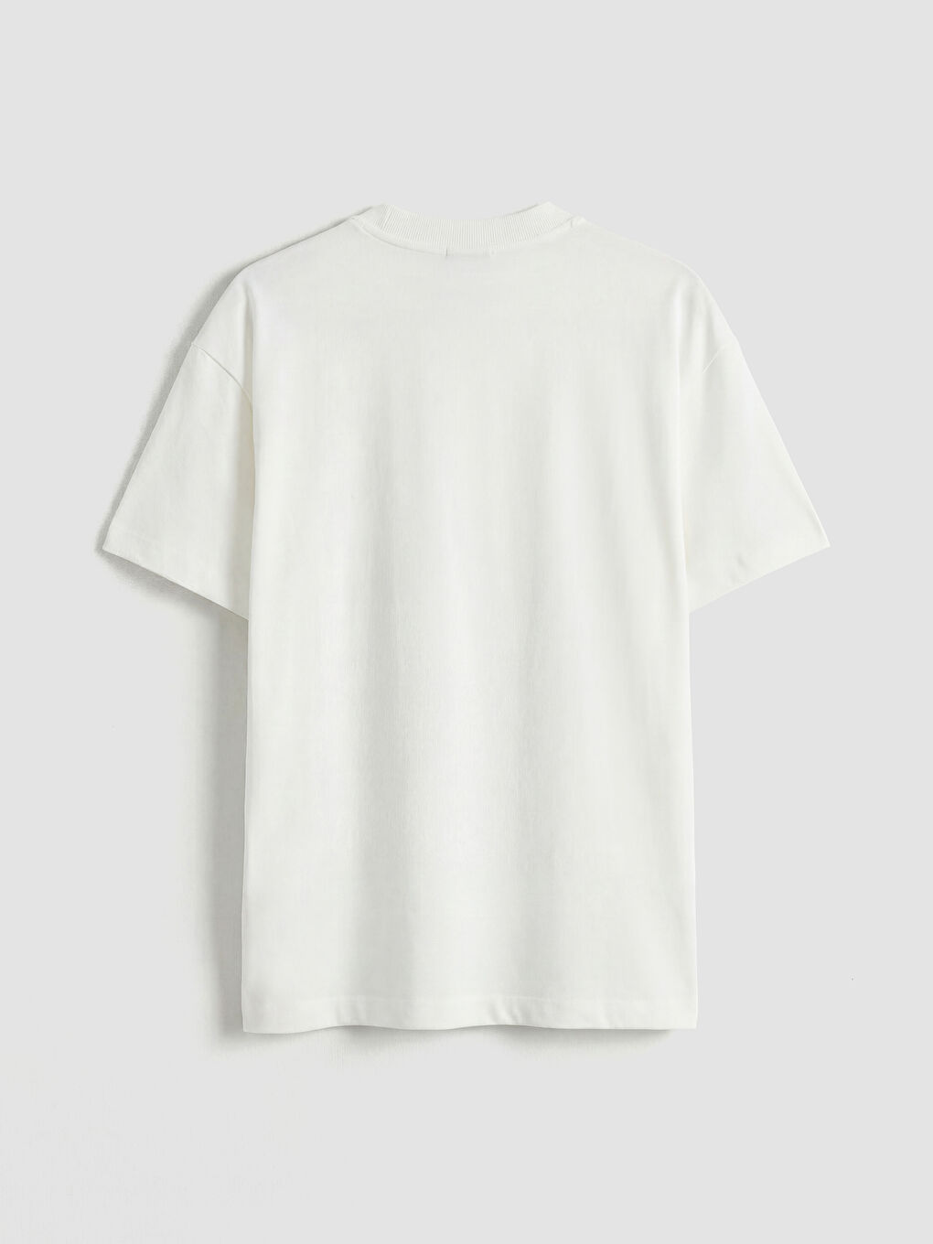 Ekru Bisiklet Yaka Nakışlı Kadın Tişört-1