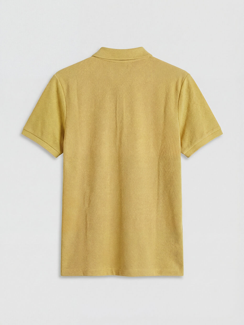 Sarı Polo Yaka Erkek Tişört-1