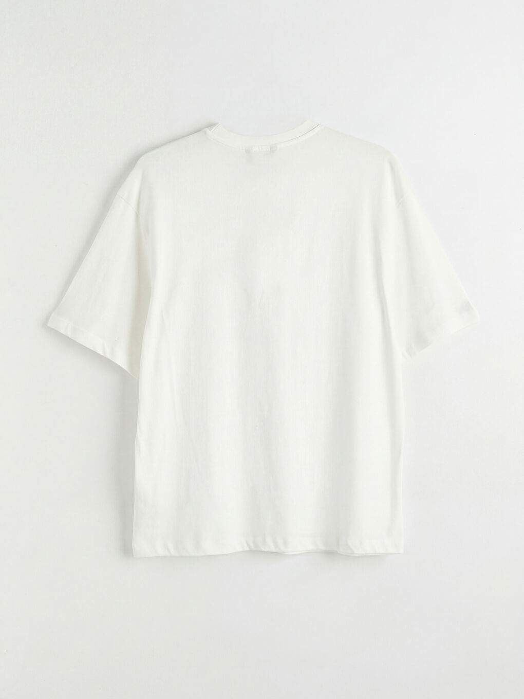 Ekru Bisiklet Yaka Nakışlı Penye Erkek Tişört-1