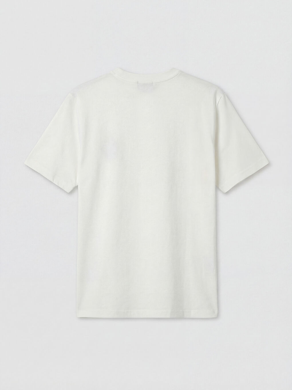 Ekru Standart Fit Nakışlı Bisiklet Yaka Erkek Tişört-1