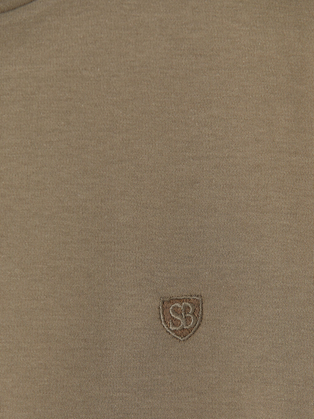 Kahverengi Standart Fit Bisiklet Yaka Nakışlı Erkek Tişört-2