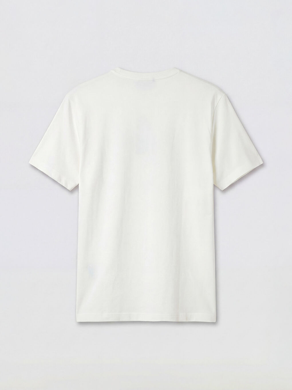 Beyaz Bisiklet Yaka Nakışlı Erkek Tişört-1