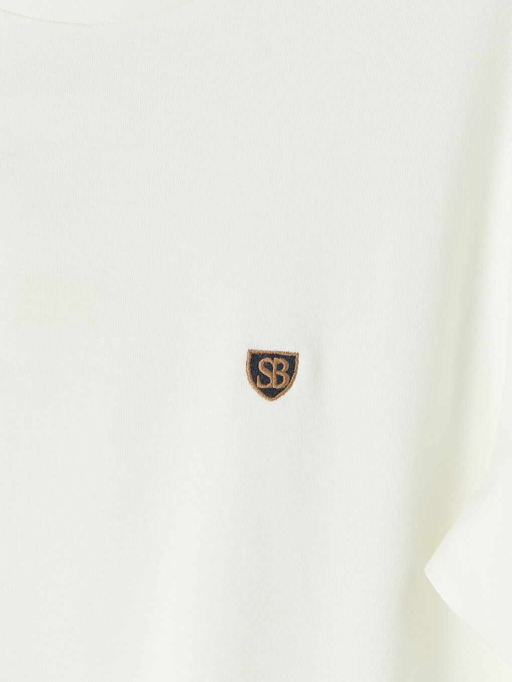 Beyaz Bisiklet Yaka Nakışlı Erkek Tişört-2