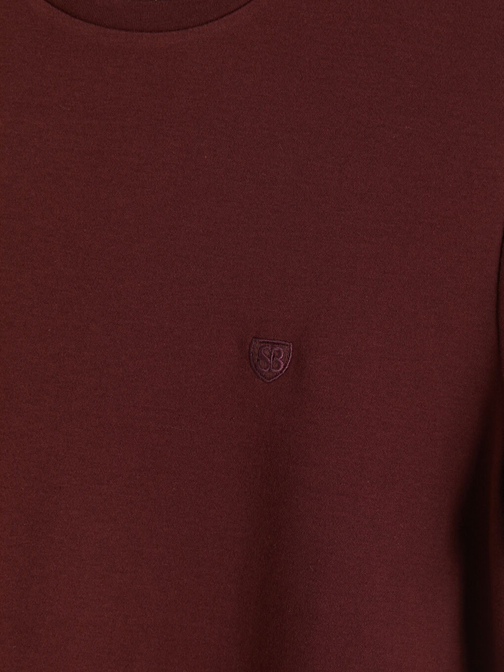 Bordo Bisiklet Yaka Nakışlı Erkek Tişört-2