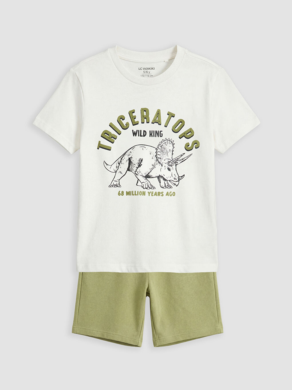 Printed Boys' T-Shirt and Shorts-1