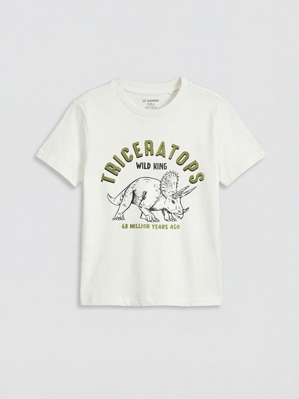 Printed Boys' T-Shirt and Shorts-2