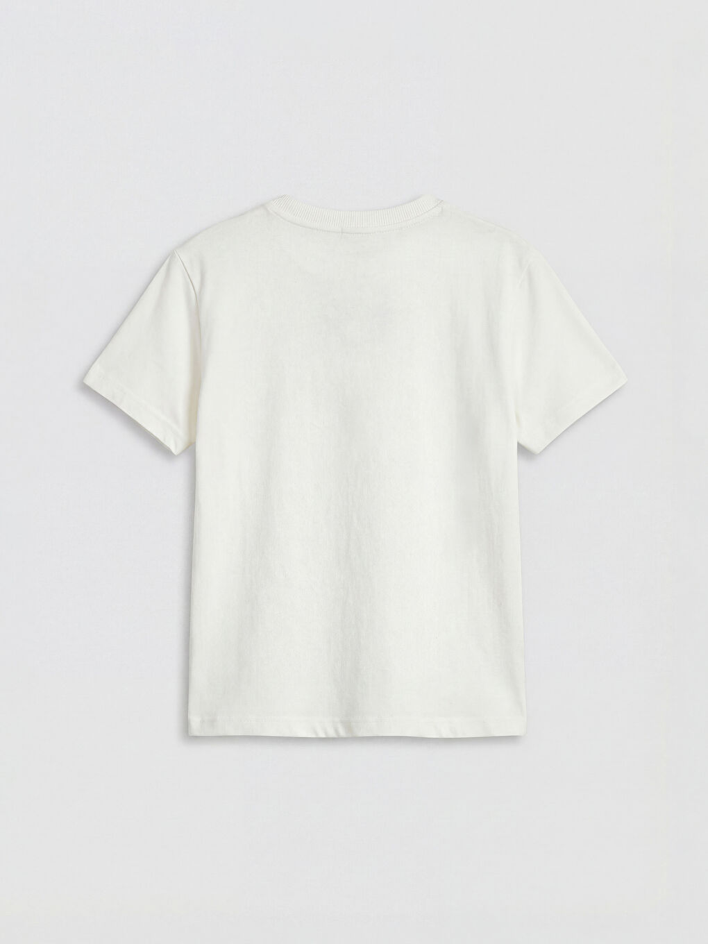 Printed Boys' T-Shirt and Shorts-3