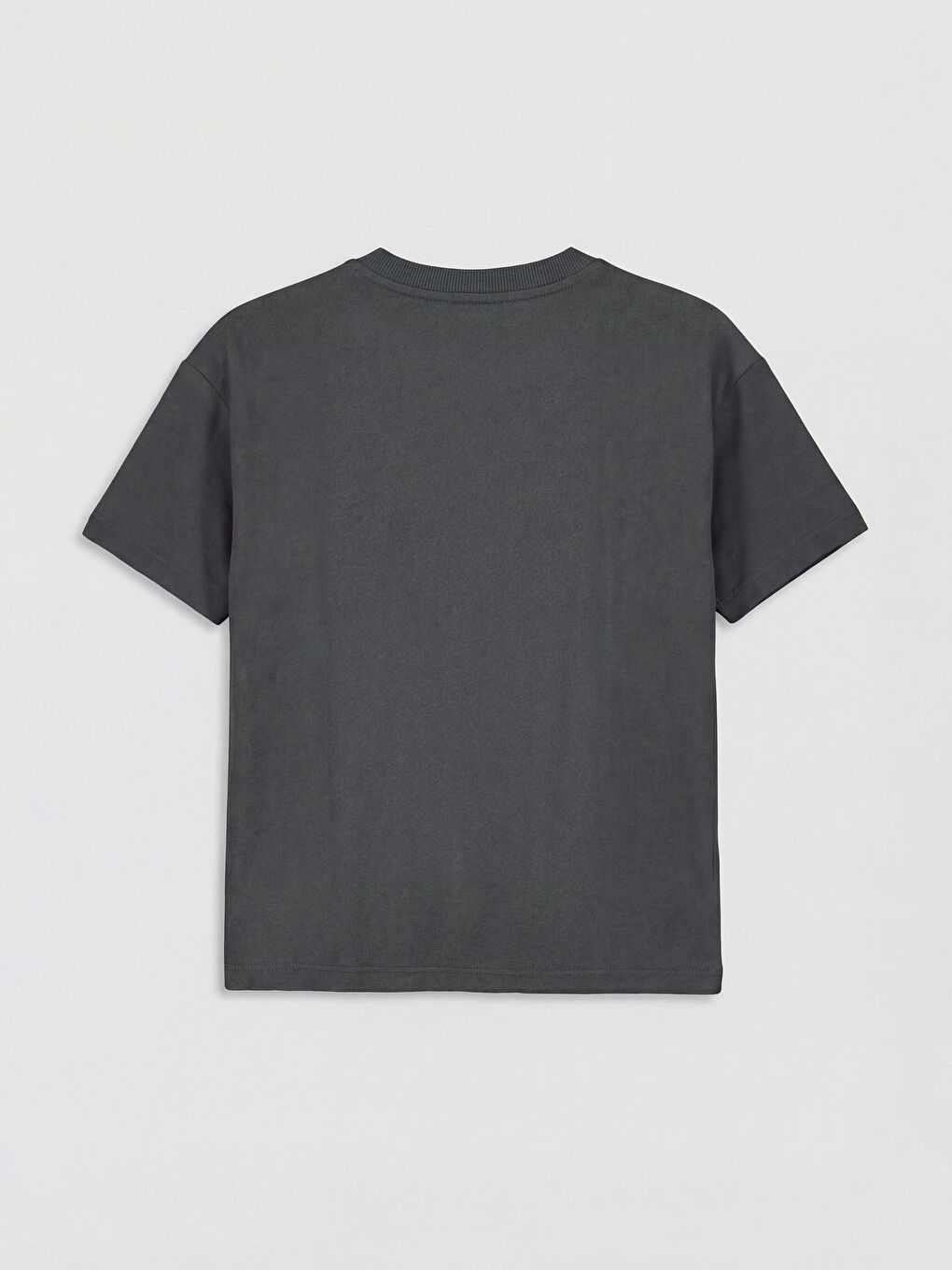 Crew Neck Sonic Printed Boys' T-Shirt-1