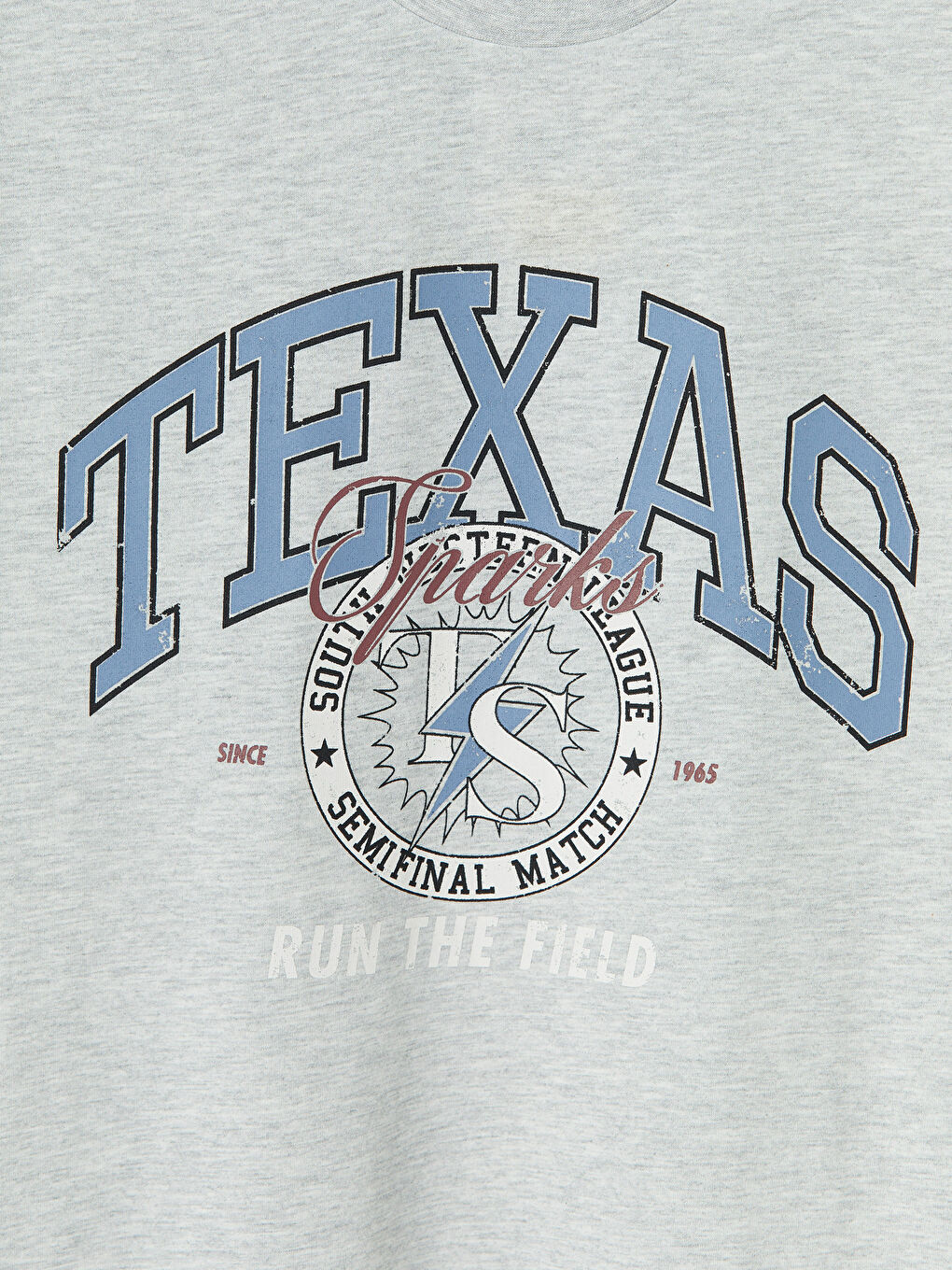 Crew Neck Texas Printed Men's T-Shirt-6