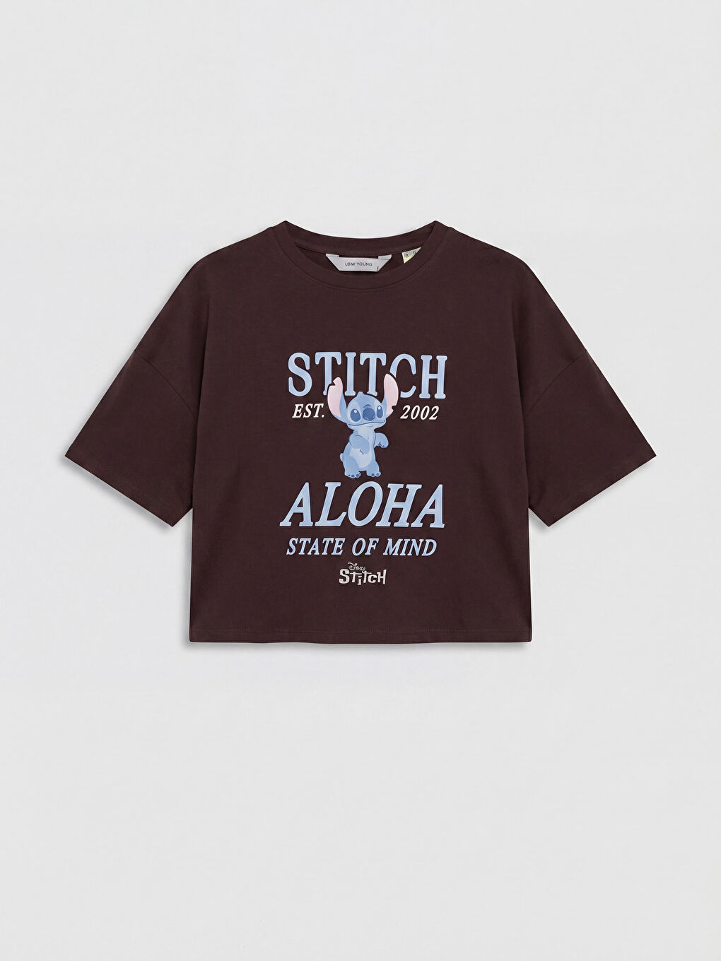 Kahverengi Stitch Baskılı Kadın Şortlu Pijama Takımı-1