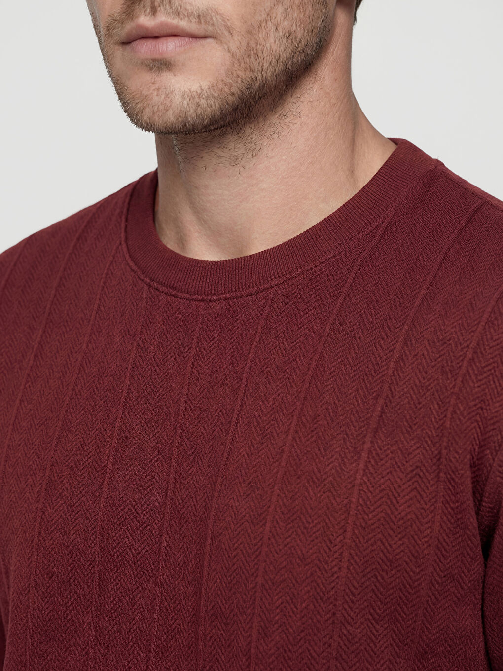 Mürdüm Bisiklet Yaka Erkek Sweatshirt-2