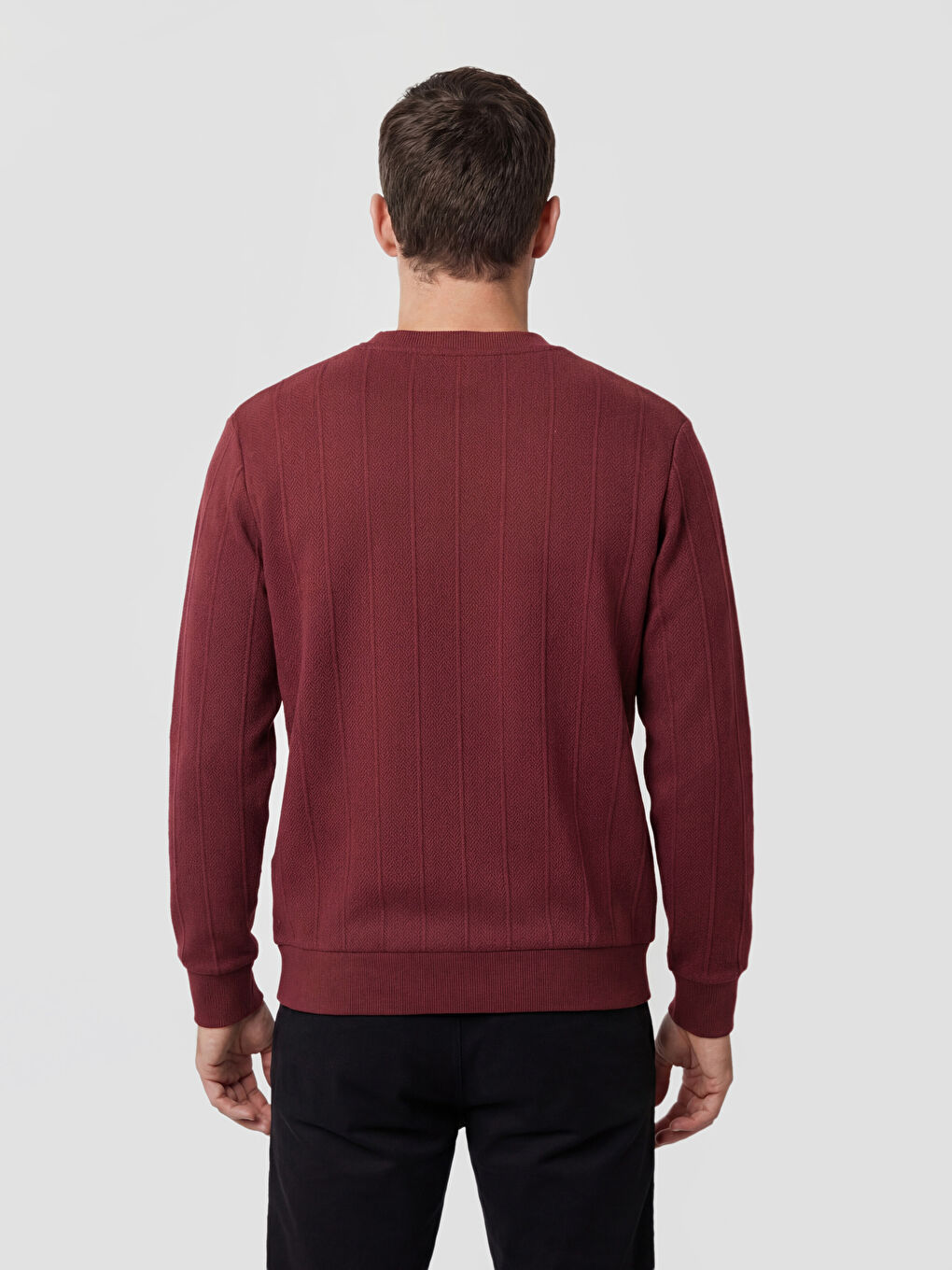 Mürdüm Bisiklet Yaka Erkek Sweatshirt-3