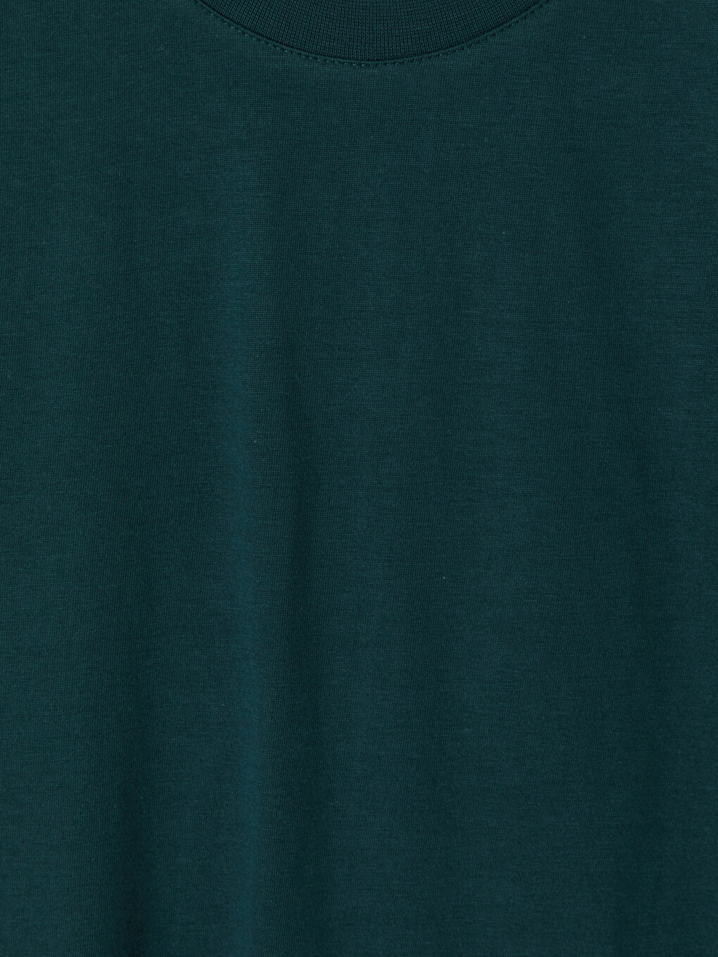 %100 Cotton Regular Fit Basic T-shirt-1