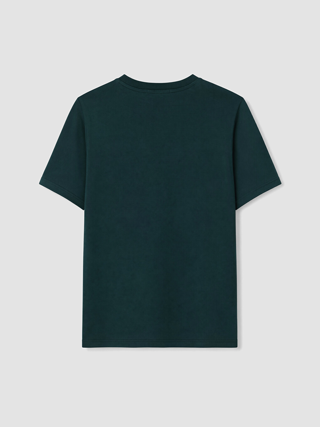 %100 Cotton Regular Fit Basic T-shirt-2