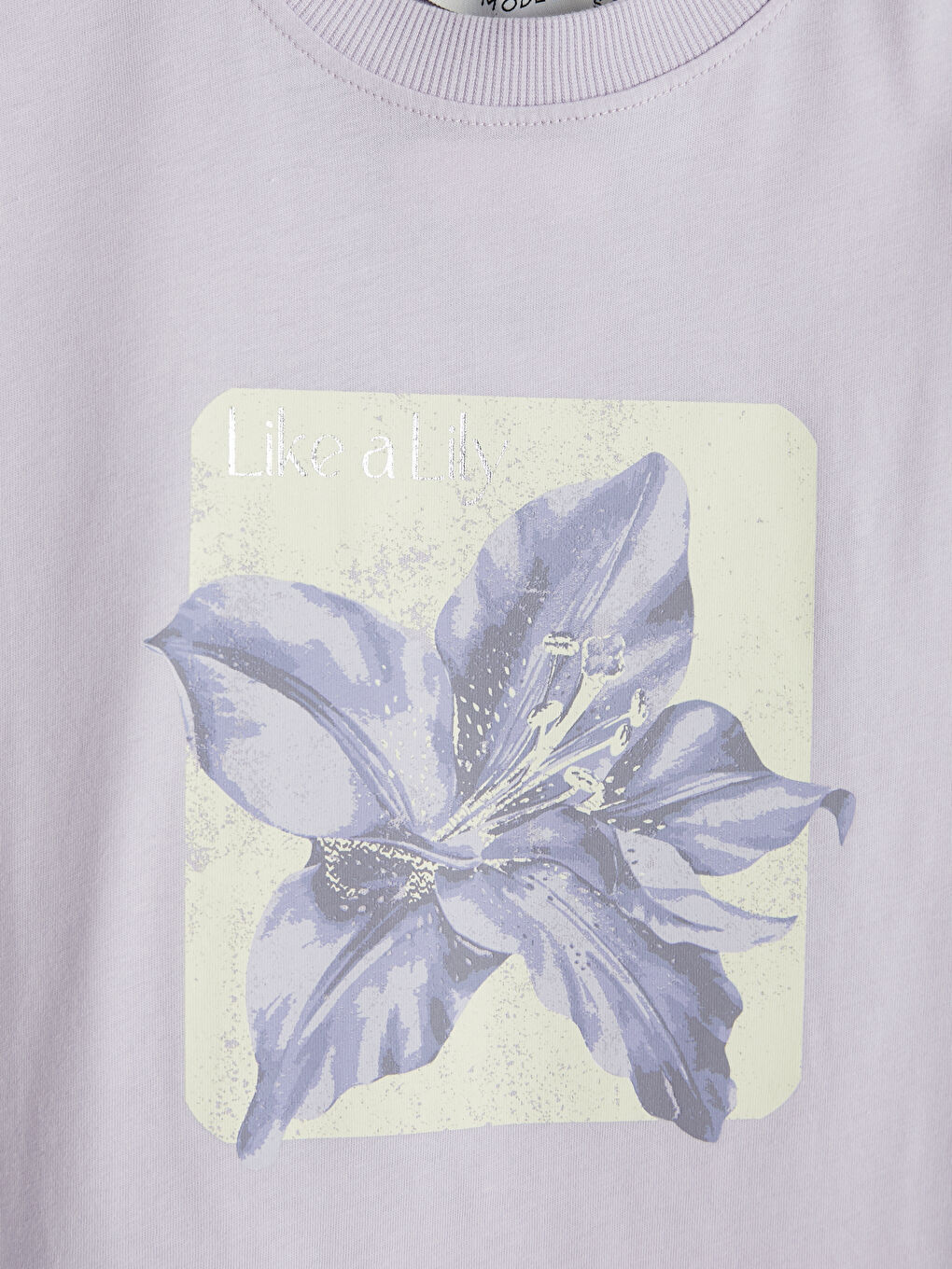 Lila Bisiklet Yaka Baskılı Kadın Tişört-2