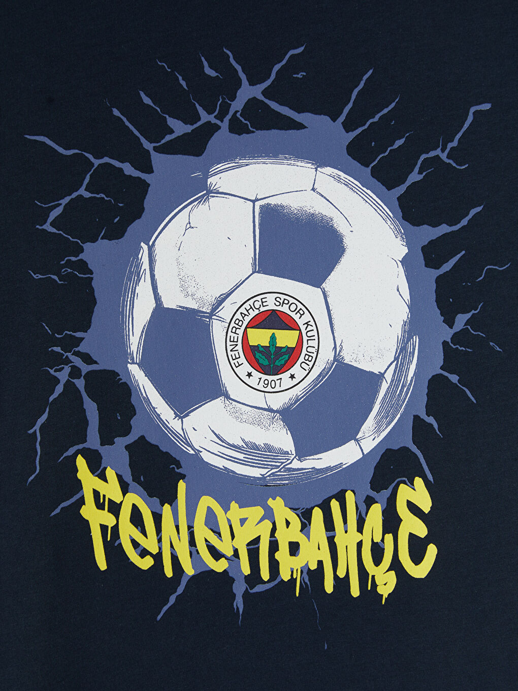Lacivert Bisiklet Yaka Fenerbahçe Baskılı Erkek Çocuk Tişört-2