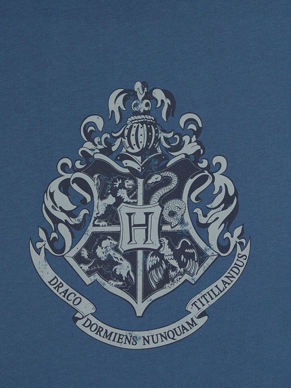 İndigo Bisiklet Yaka Harry Potter Baskılı Erkek Tişört-2