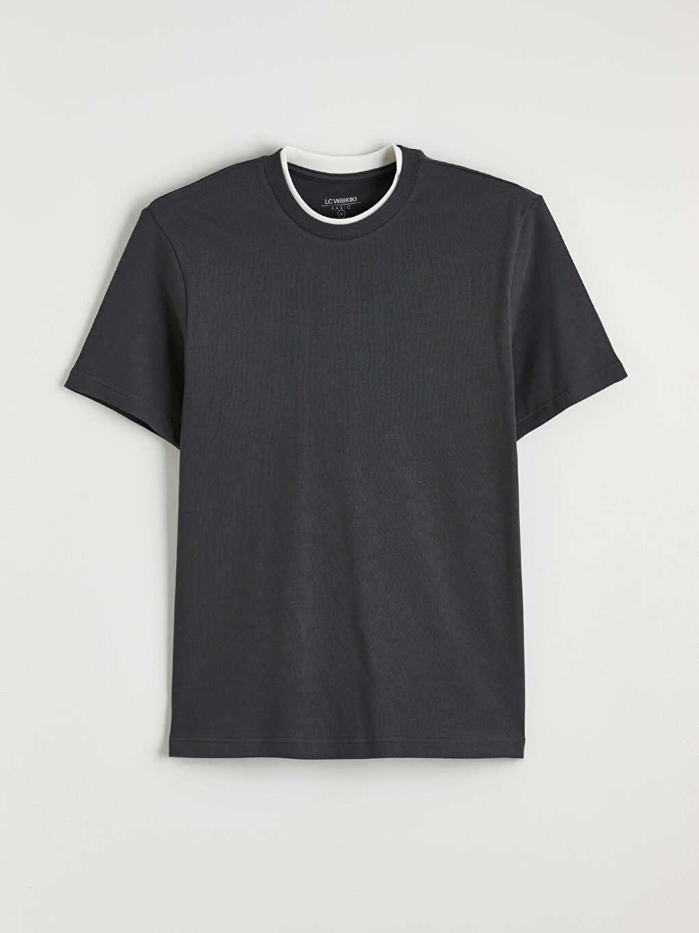 Antrasit Bisiklet Yaka Erkek Tişört