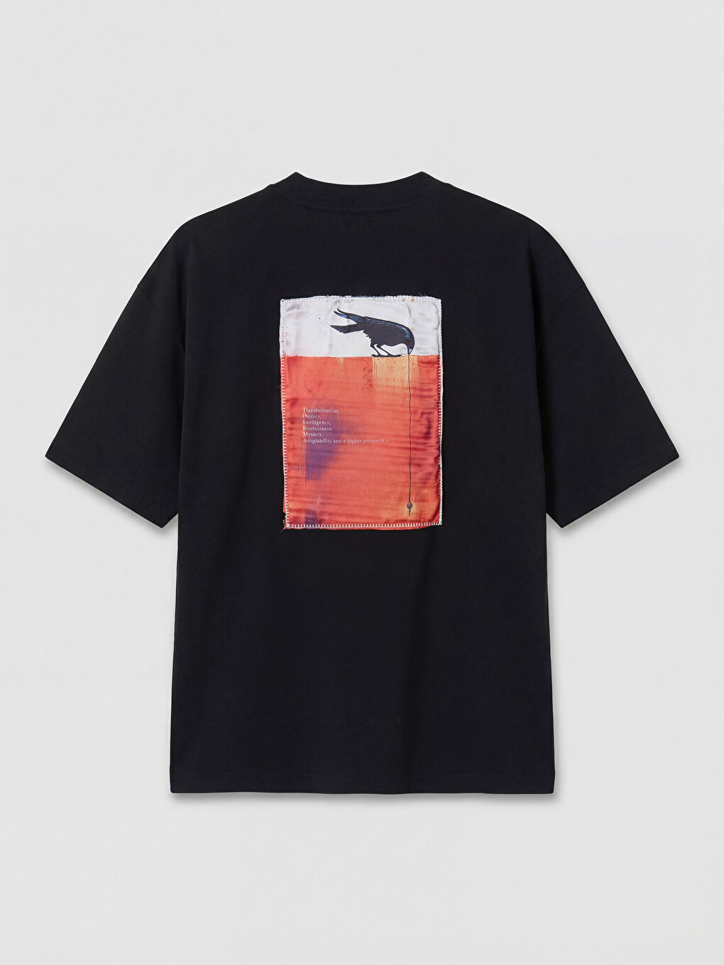 Siyah Bisiklet Yaka Nakışlı Erkek Tişört-5