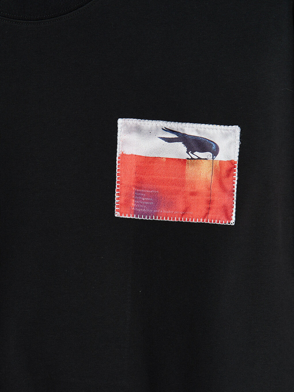 Siyah Bisiklet Yaka Nakışlı Erkek Tişört-6