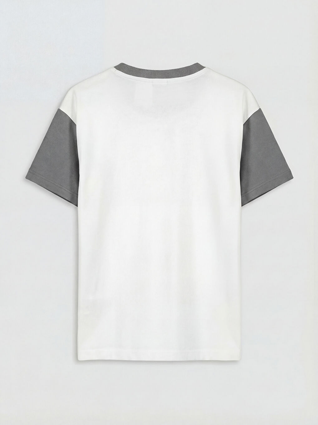 Beyaz Paw Patrol Baskılı Erkek Çocuk Tişört ve Şort-3