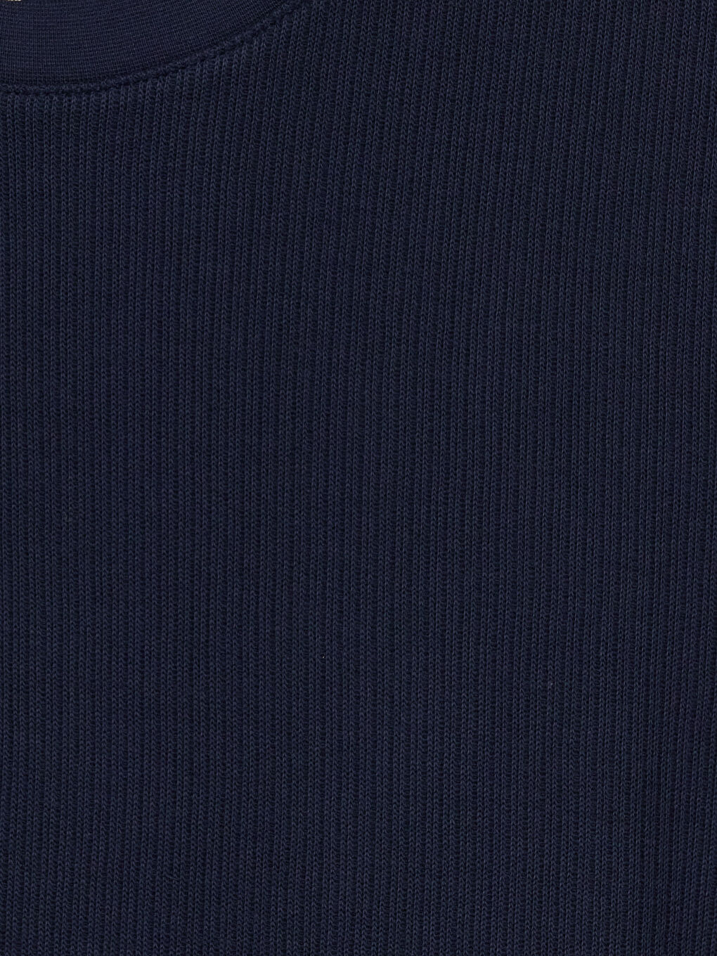 Lacivert Regular Fit Bisiklet Yaka Fitilli Erkek Tişört-2