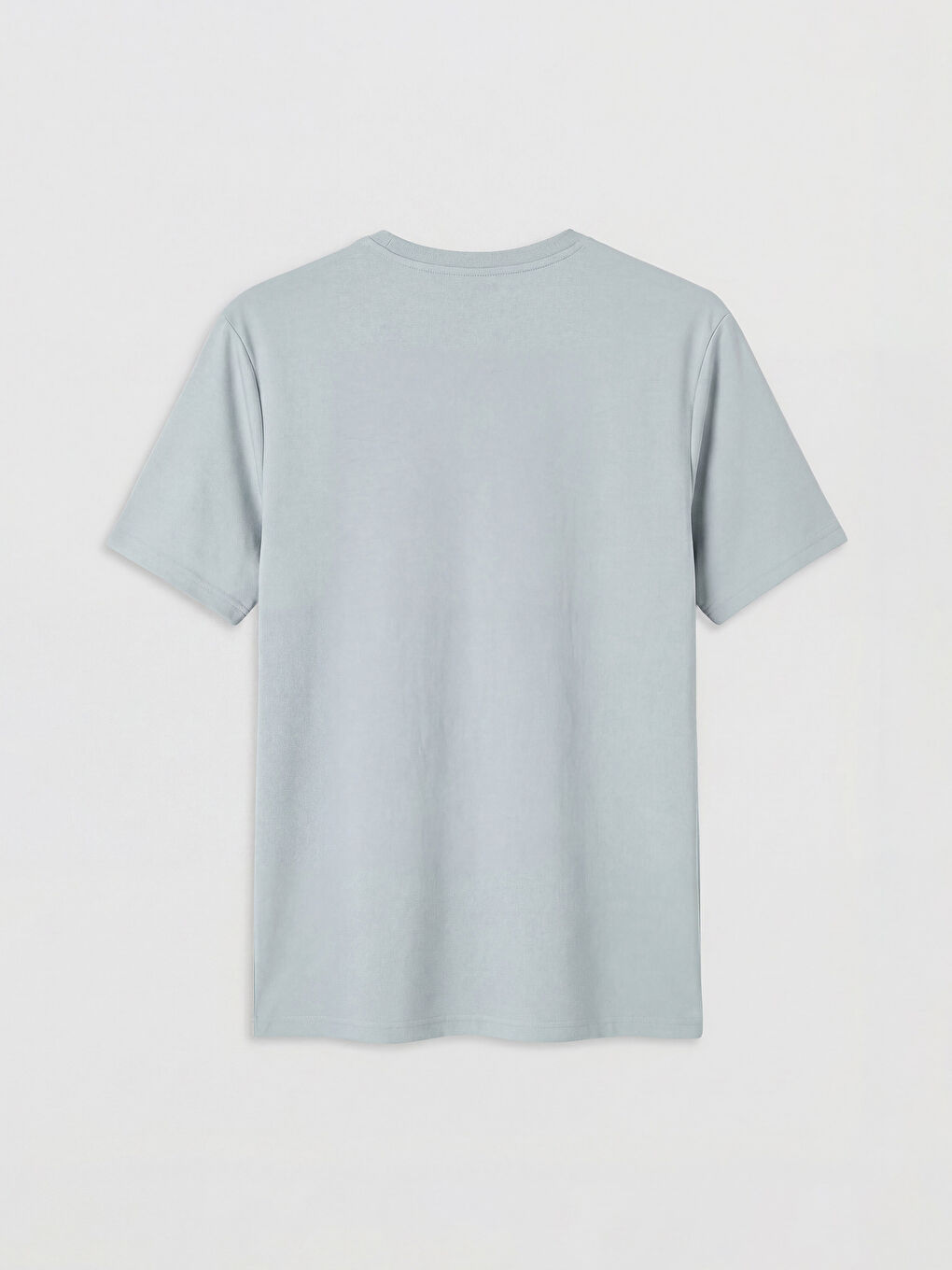 Gri Standart Kalıp Nakışlı Erkek Tişört-1