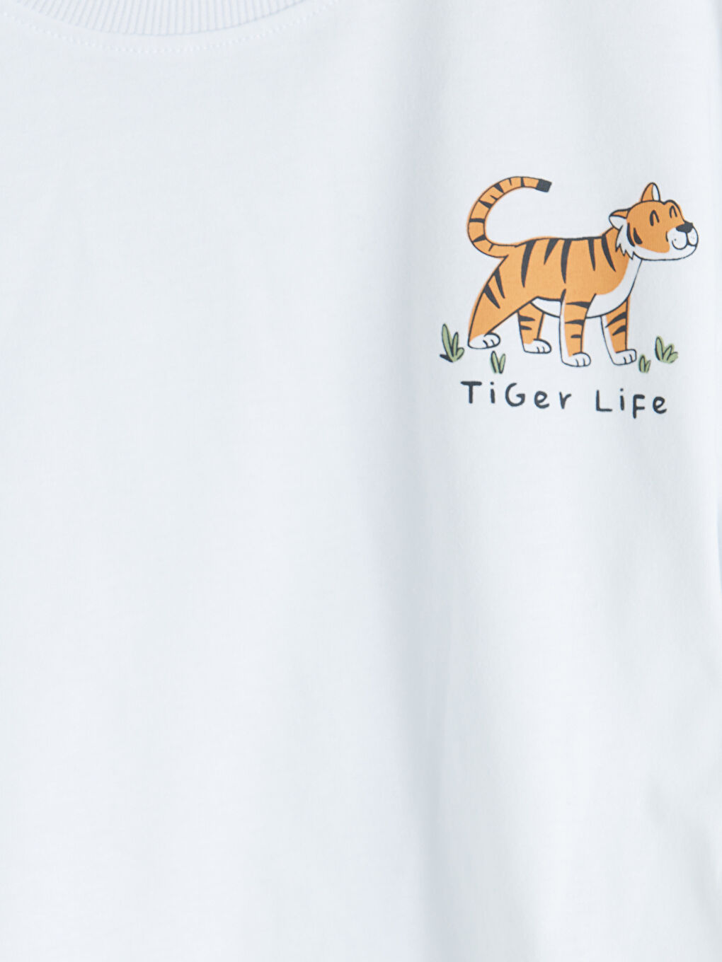 Yeşil Bisiklet Yaka Baskılı Erkek Çocuk Tişört 2'li-5