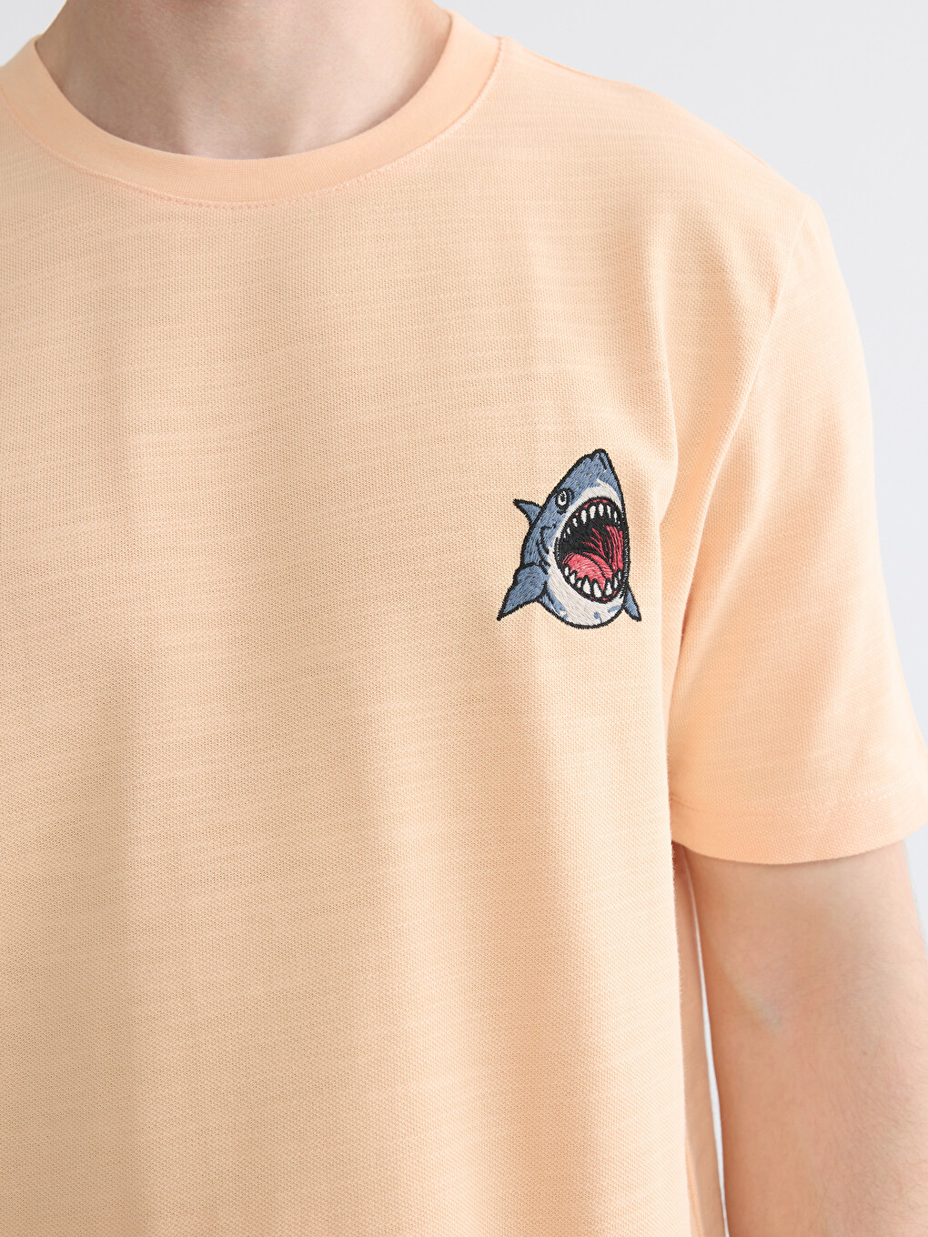 Crew Neck Embroidered Men's T-Shirt-2