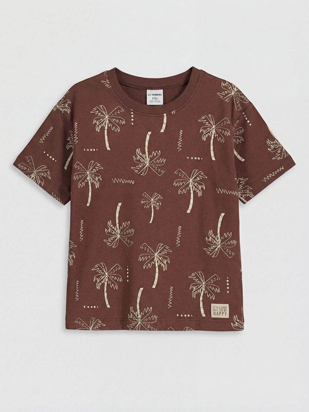 Kahverengi Desenli Erkek Çocuk Tişört ve Şort-1