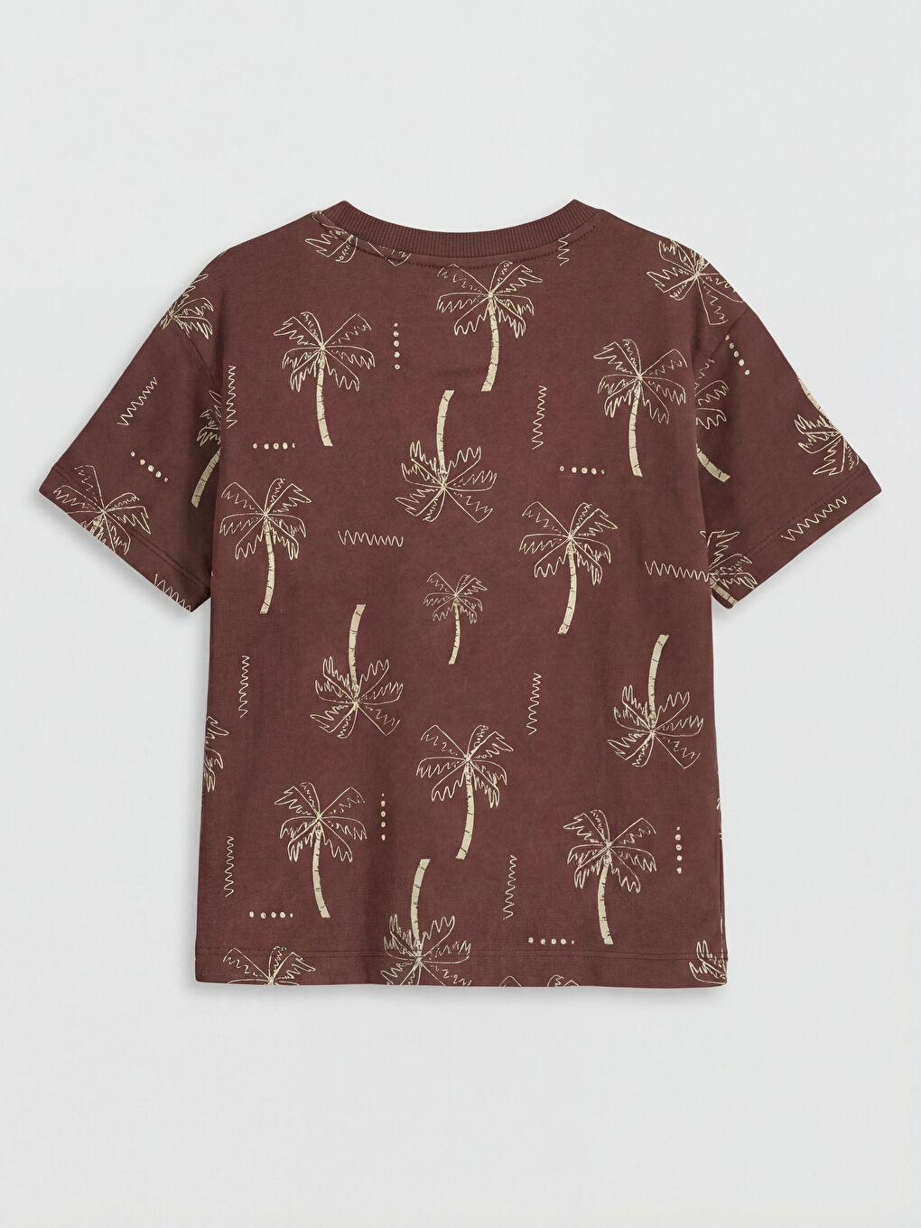 Kahverengi Desenli Erkek Çocuk Tişört ve Şort-2