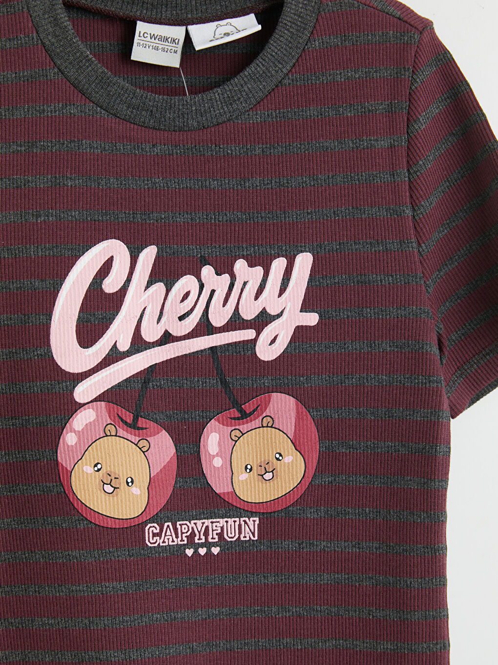 Mürdüm Capyfun Baskılı Kız Çocuk Fitilli Elbise-2