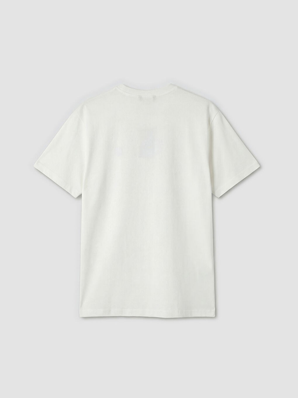 Ekru Bisiklet Yaka Nakışlı Penye Erkek Tişört-1