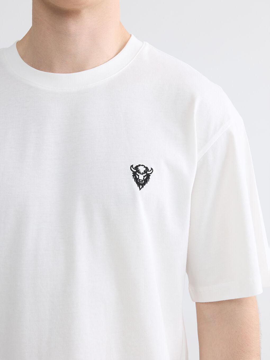 Beyaz Bisiklet Yaka Nakışlı Penye Erkek Tişört-2