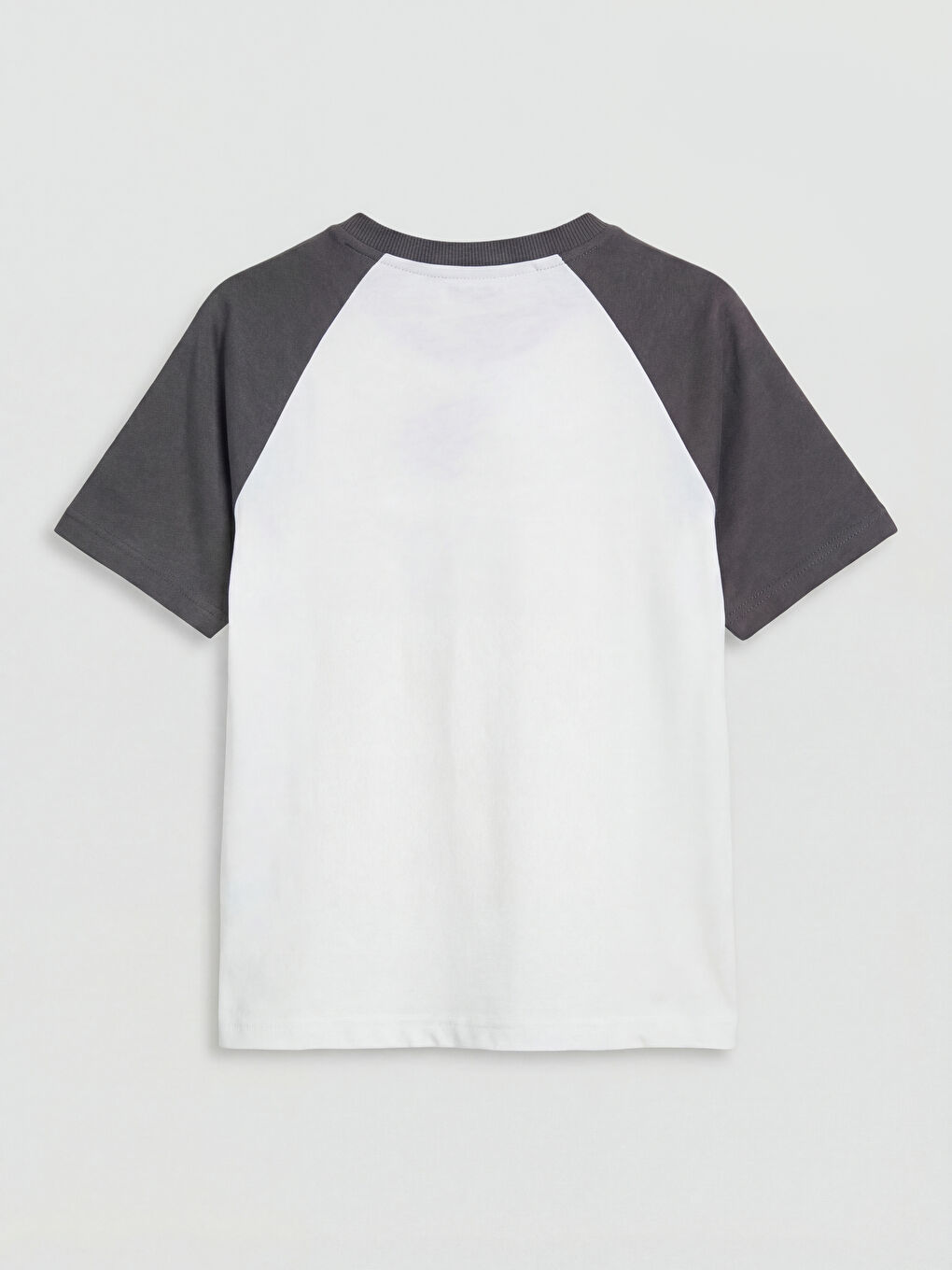 Beyaz Paw Patrol Baskılı Erkek Çocuk Eşofman Takım-2