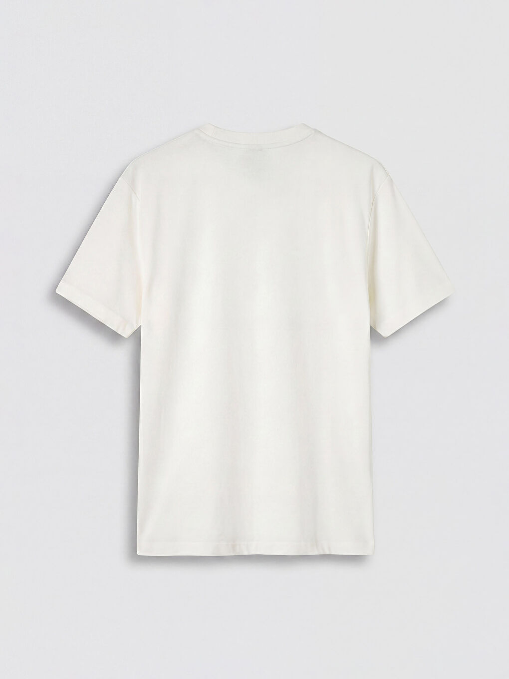 Crew Neck Printed Men's T-Shirt-5
