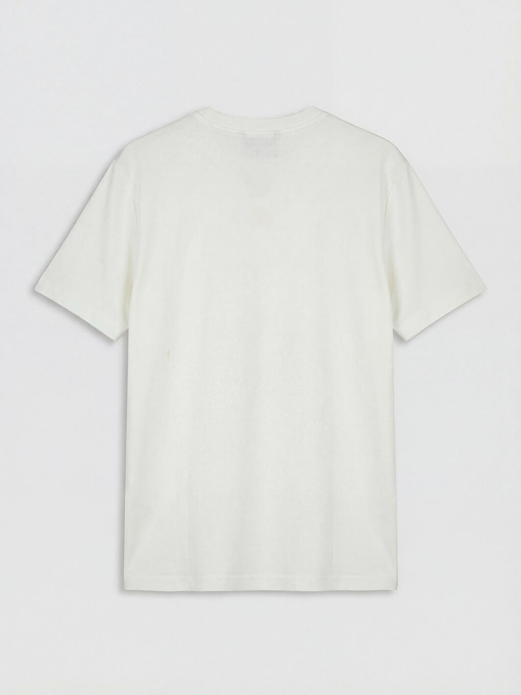 Ekru Bisiklet Yaka Baskılı Erkek Penye Tişört-1