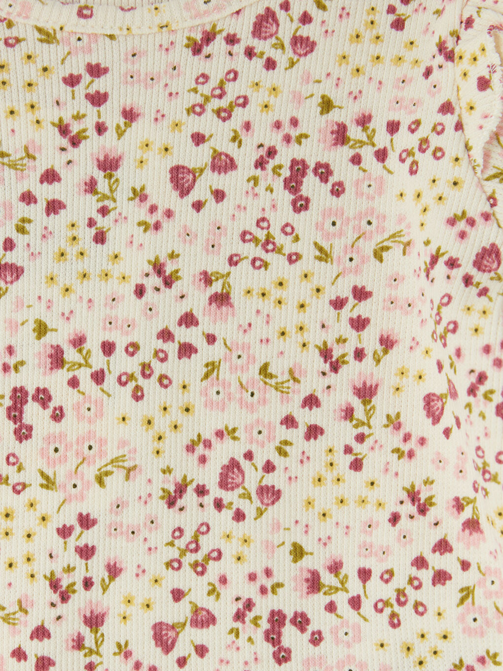 Ekru Çiçekli Kız Bebek Fitilli Takım-4