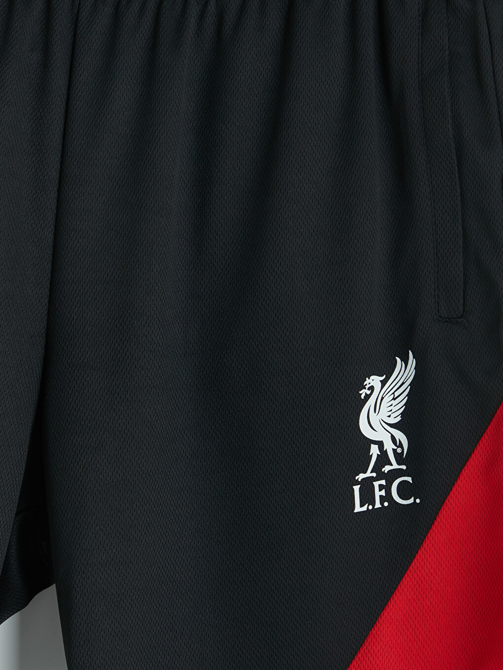 Regular Fit Liverpool Printed Men's Active Shorts-3