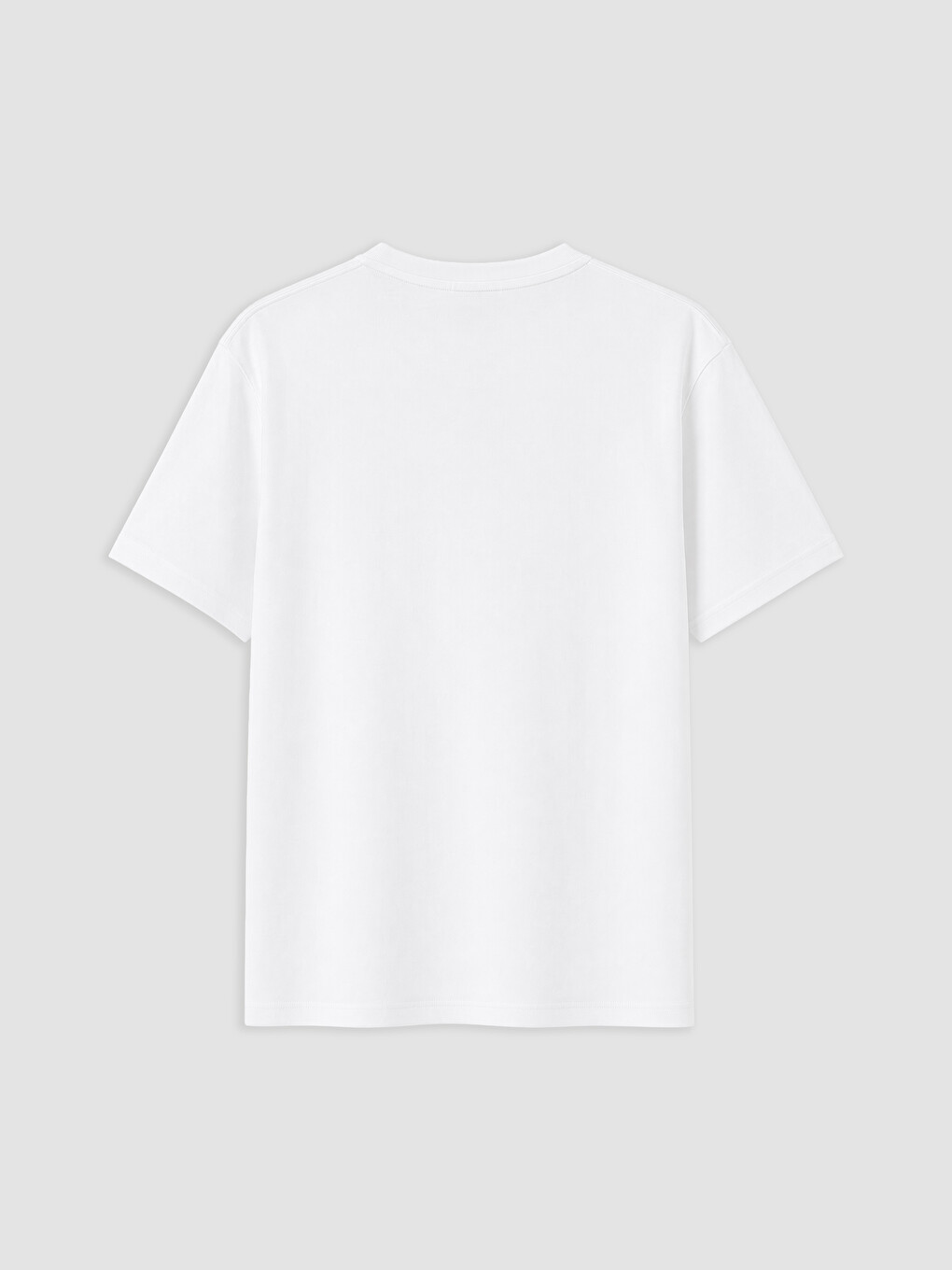 Crew Neck Bear Teddy Embroidered Men's T-shirt-1