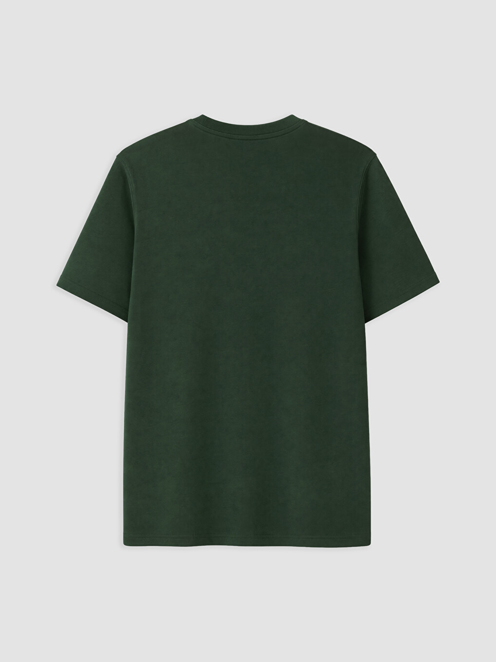 Crew Neck Bear Teddy Embroidered Men's T-shirt-5