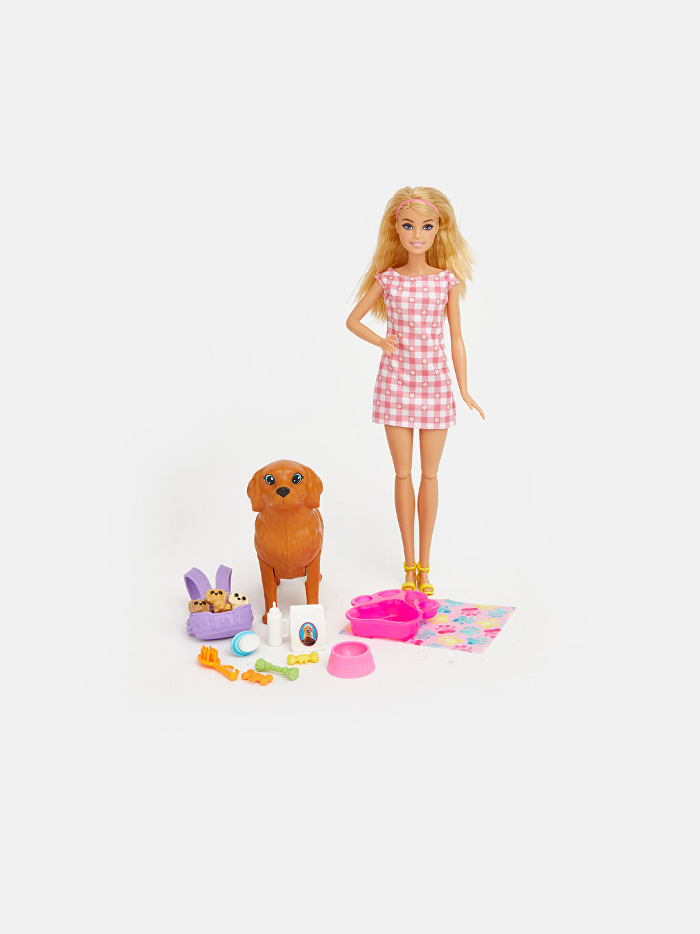 Barbie Evcil Hayvan Oyun Seti HCK75-1