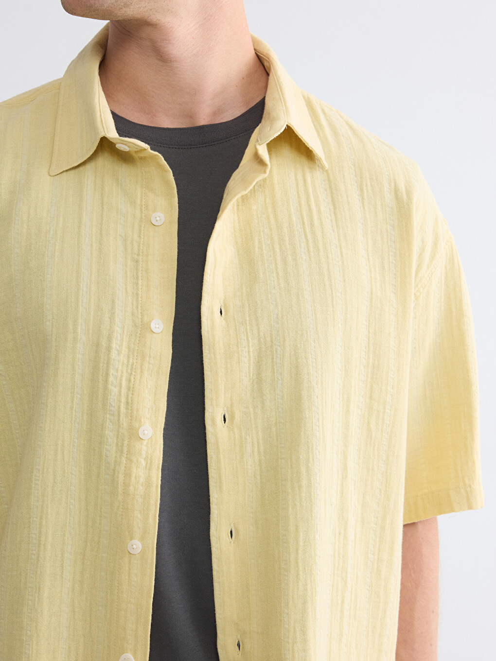Standard Fit Striped Men's Shirt-2