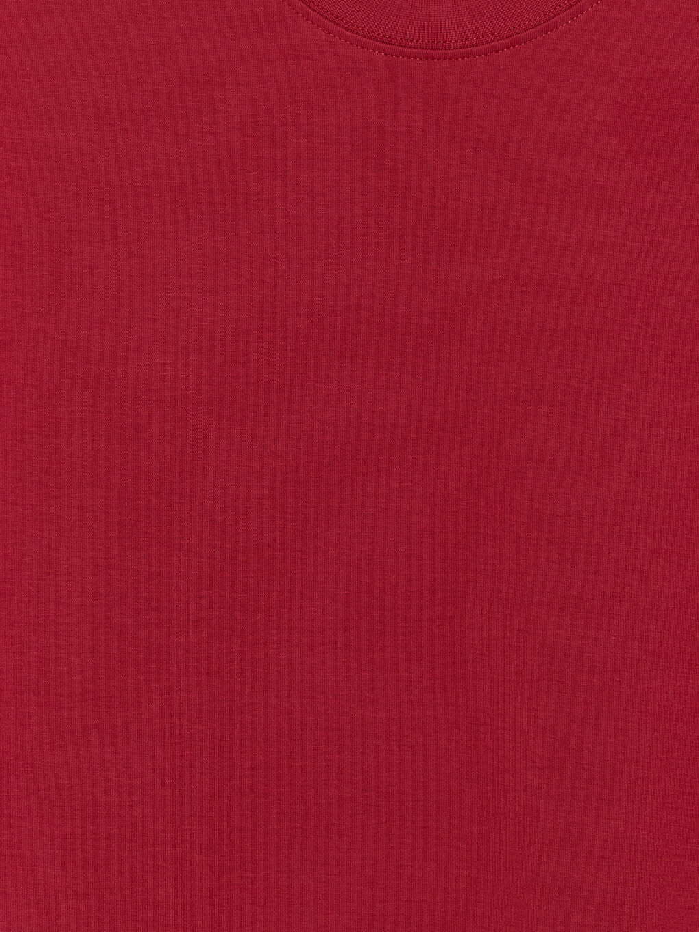 Kırmızı Regular Fit Bisiklet Yaka Erkek Tişört-2