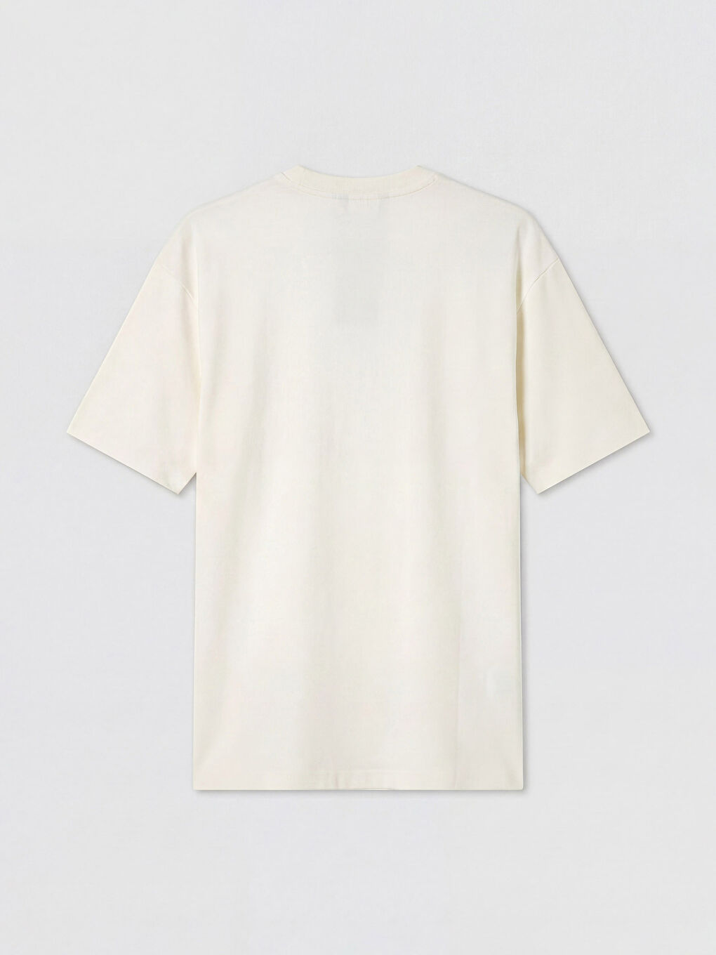 Ekru Regular Fit Bisiklet Yaka Erkek Tişört-1