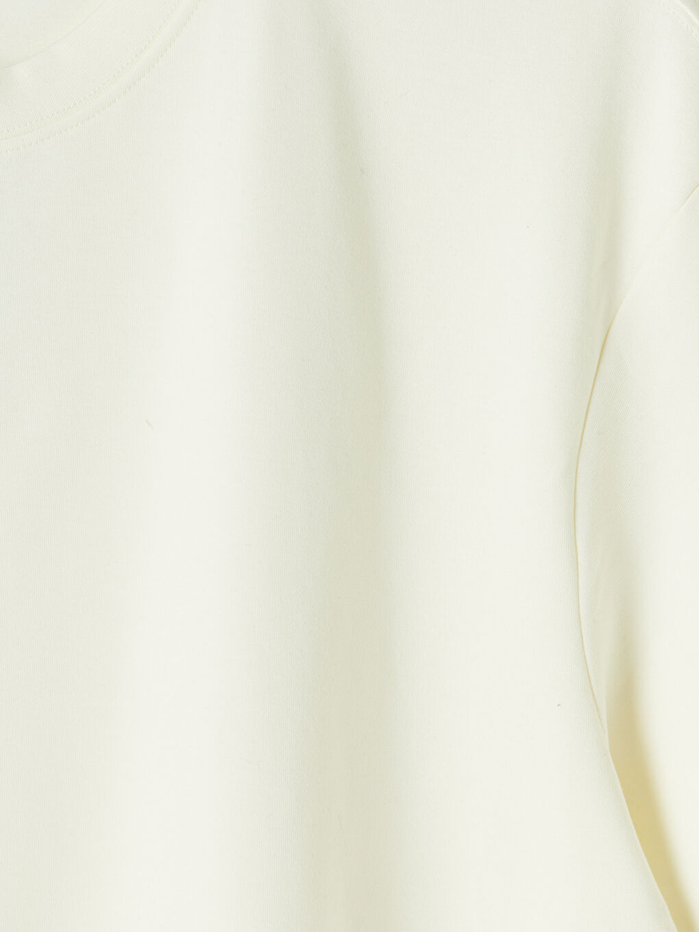 Ekru Regular Fit Bisiklet Yaka Erkek Tişört-2