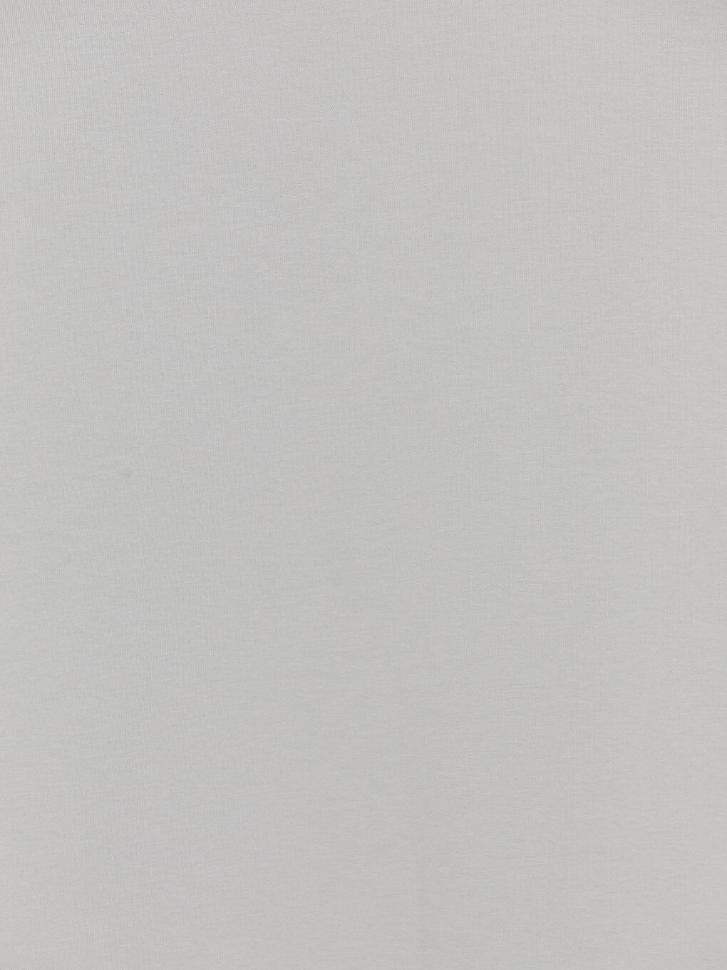 Bej Regular Fit Bisiklet Yaka Erkek Tişört-2