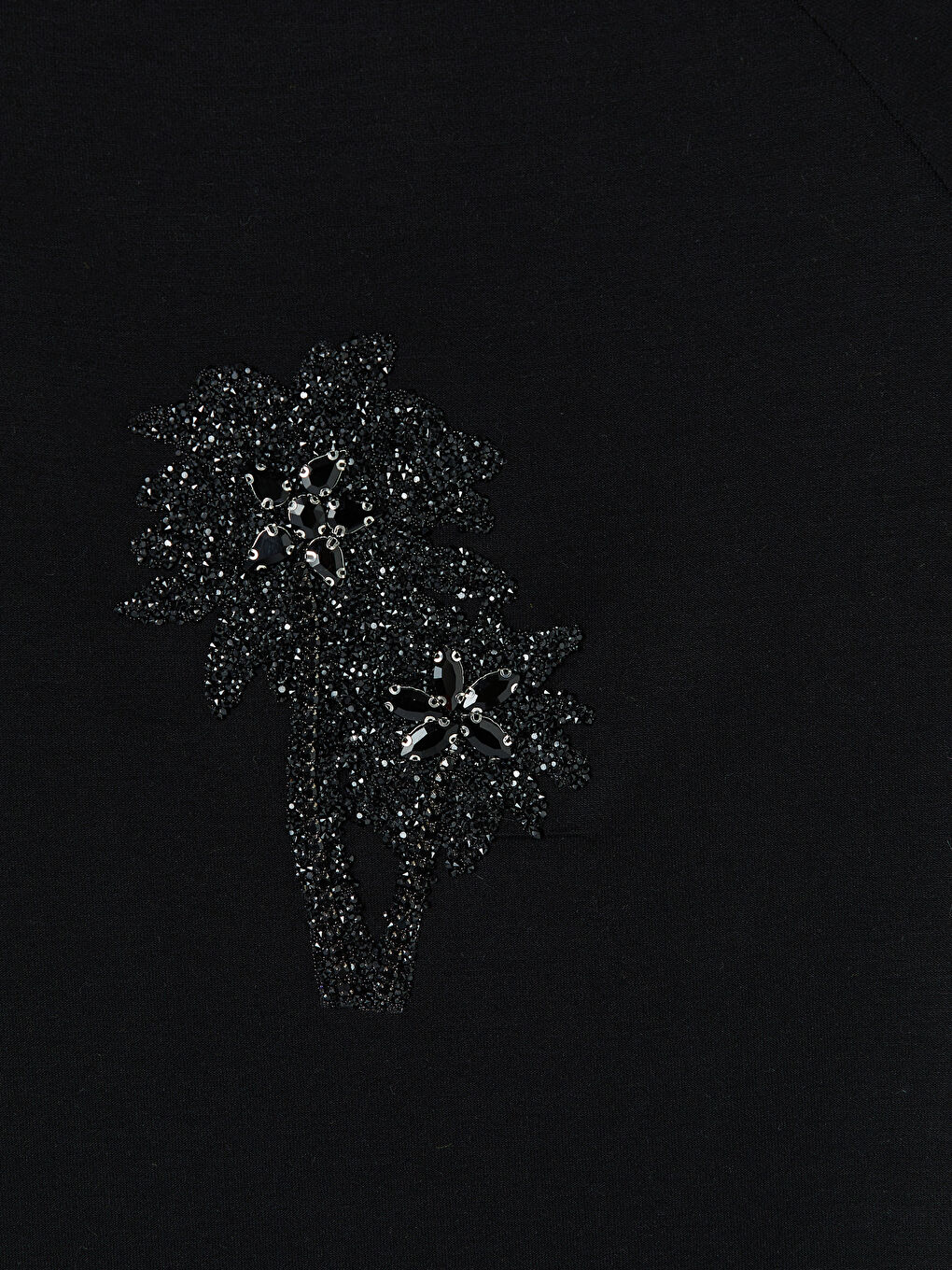 Siyah Bisiklet Yaka Taş İşlemeli Kadın Tişört-2